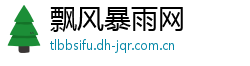 飘风暴雨网